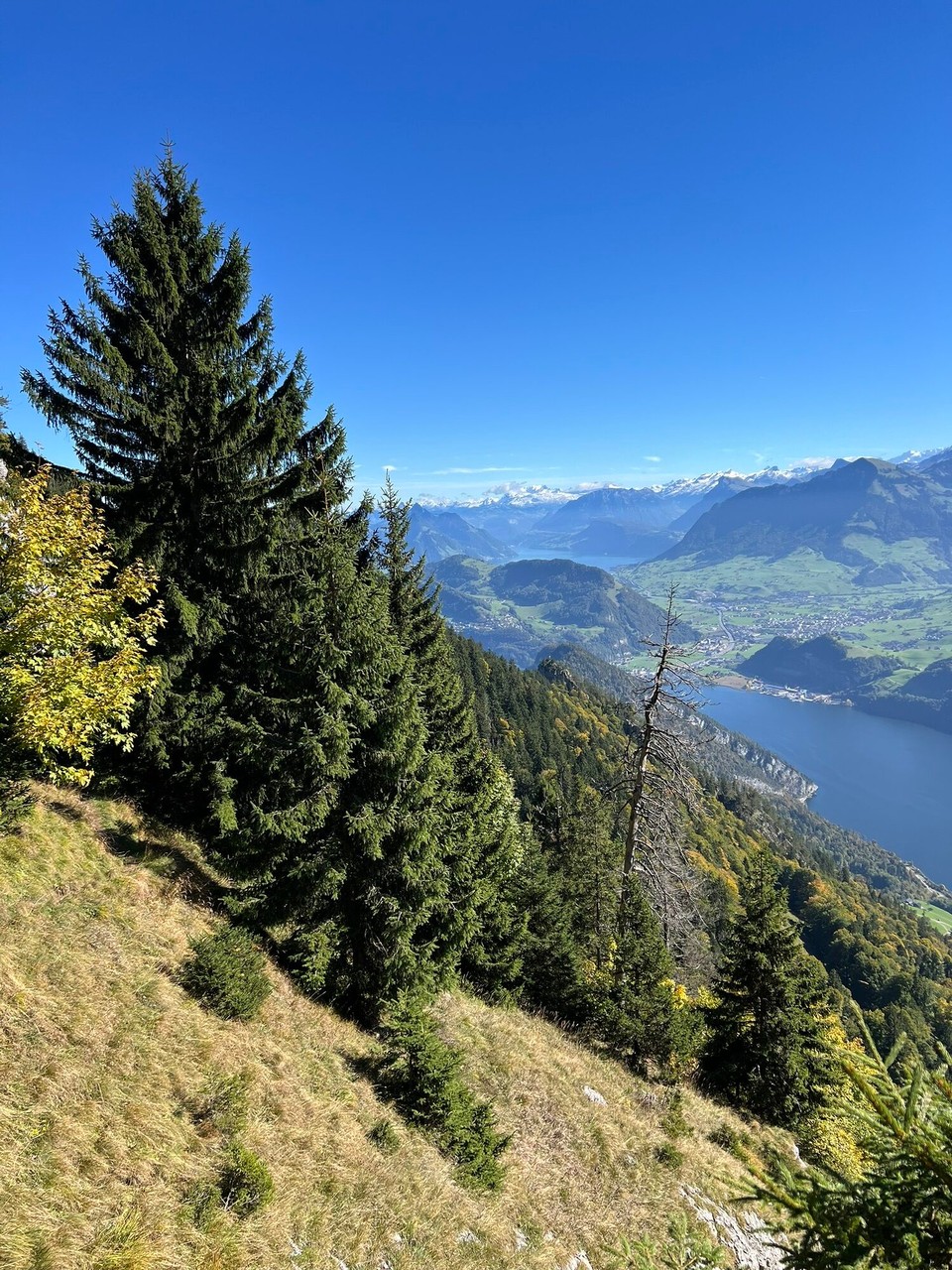 Schweiz - Alpnach Dorf - 