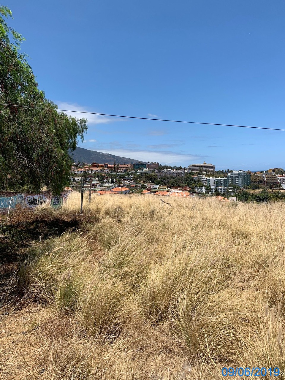 Spanien - Puerto de la Cruz - Nicht nur grün hier alles. 
