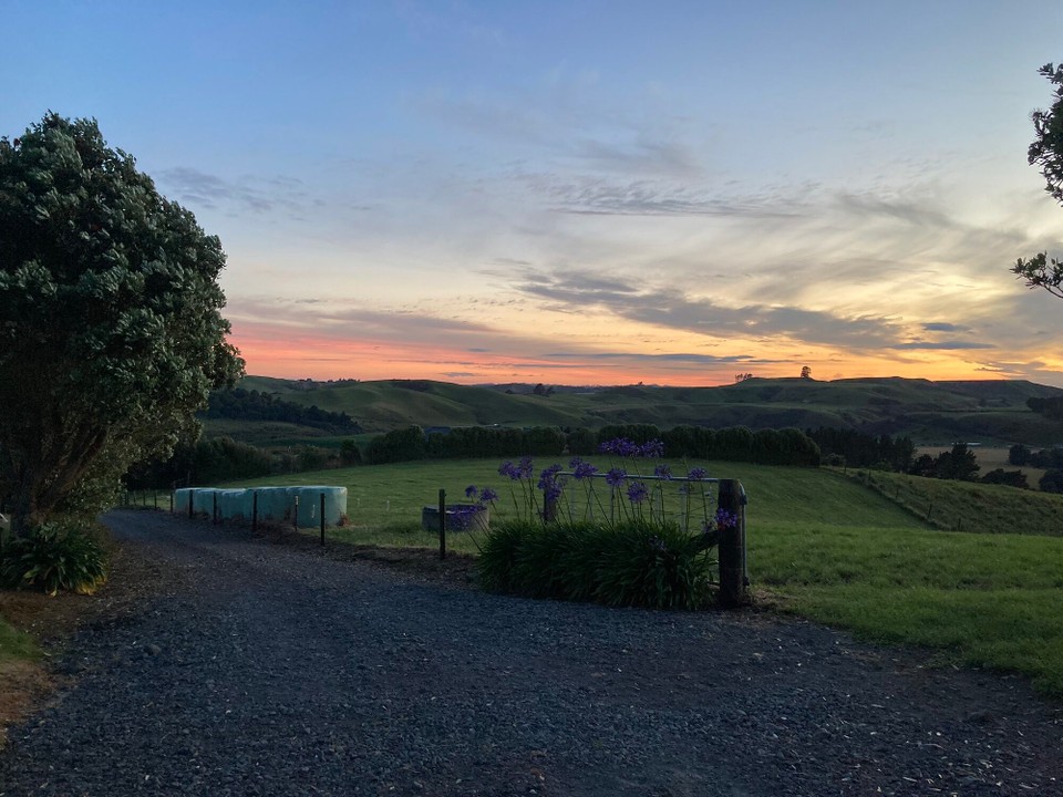 Neuseeland - Egmont National Park - Guten Morgen - na mal sehen ob das heute was wird 😃