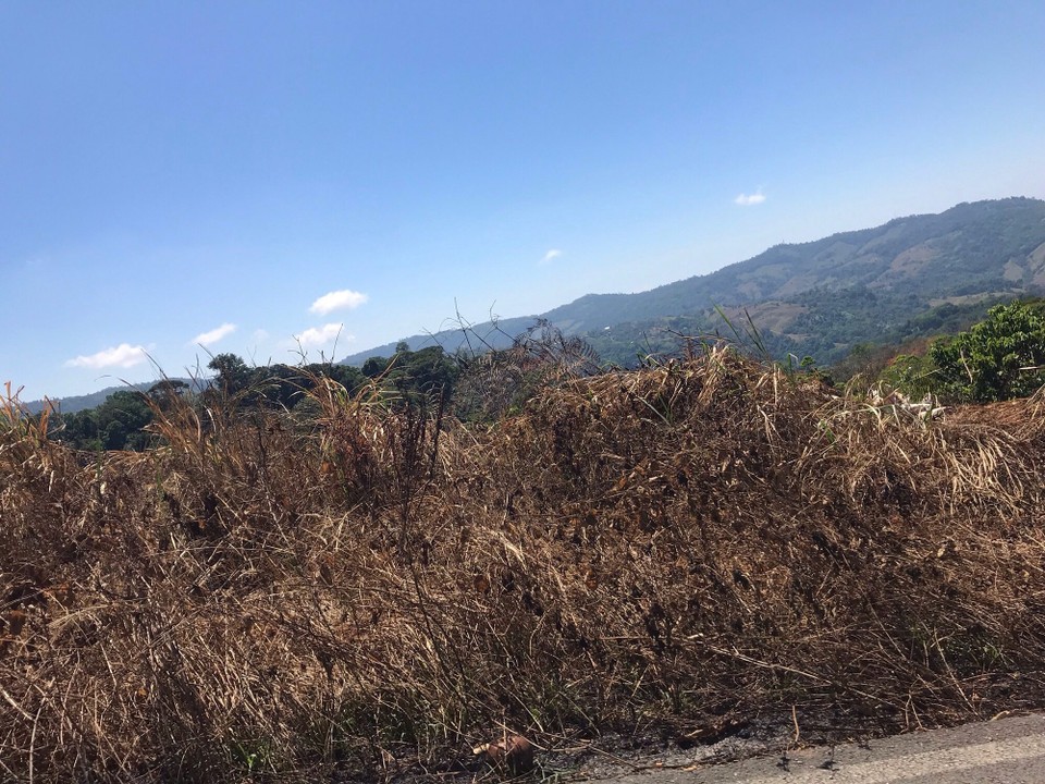 Costa Rica - Perez Zeledon - 