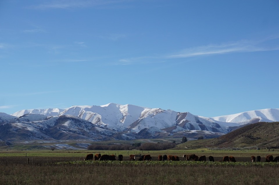 Neuseeland - Christchurch - 