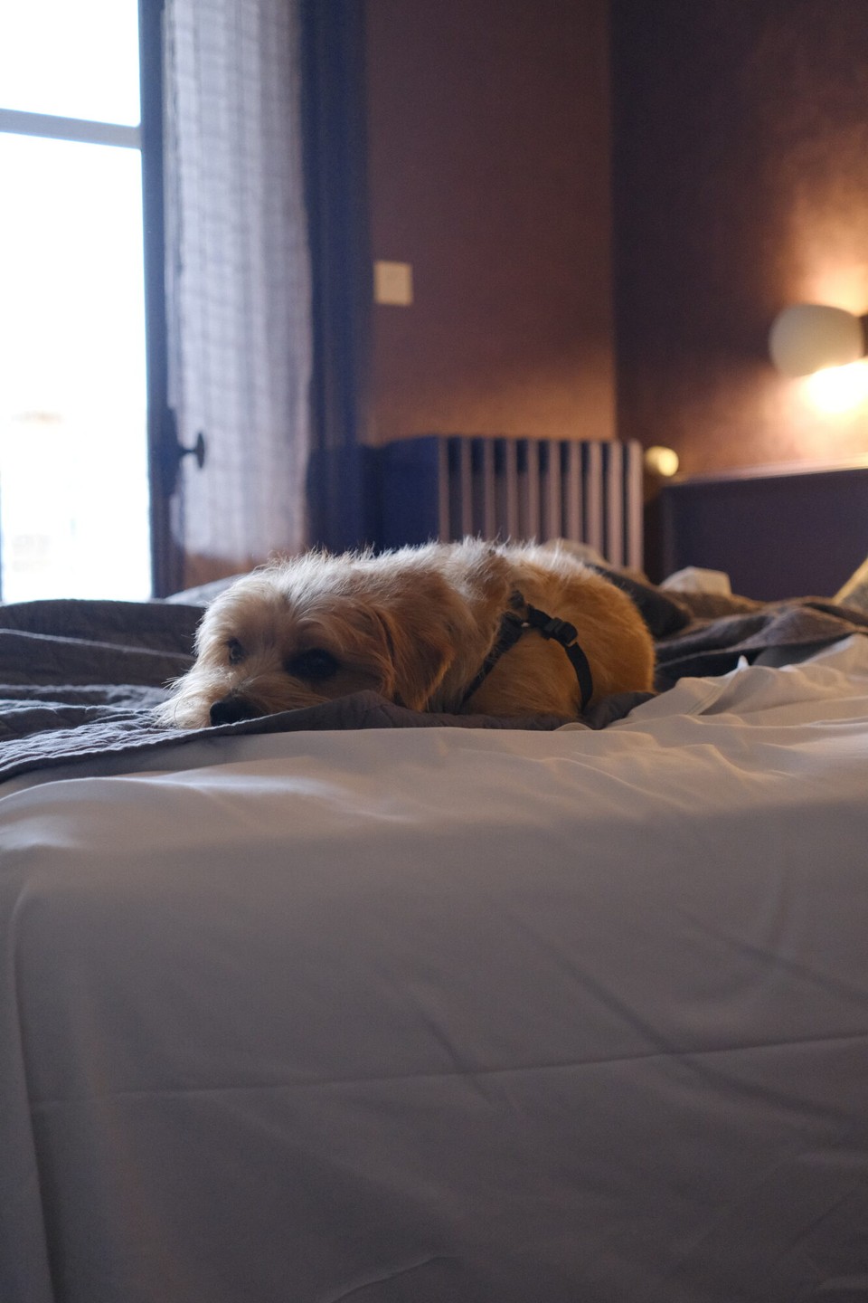 Frankreich - Tournus - 