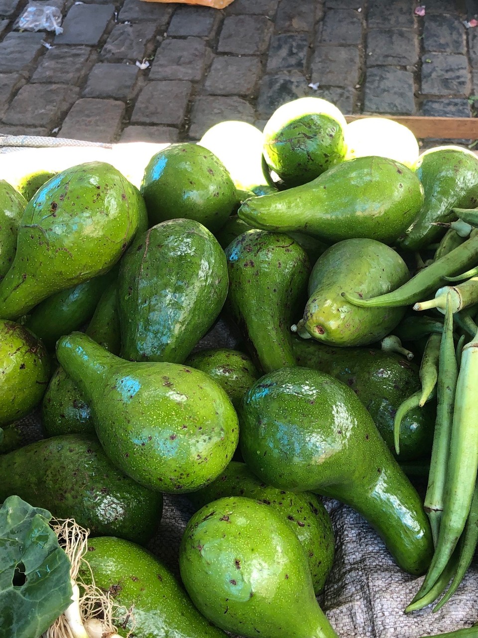 Brasilien - São Félix - Riesen Mangos auf dem Markt