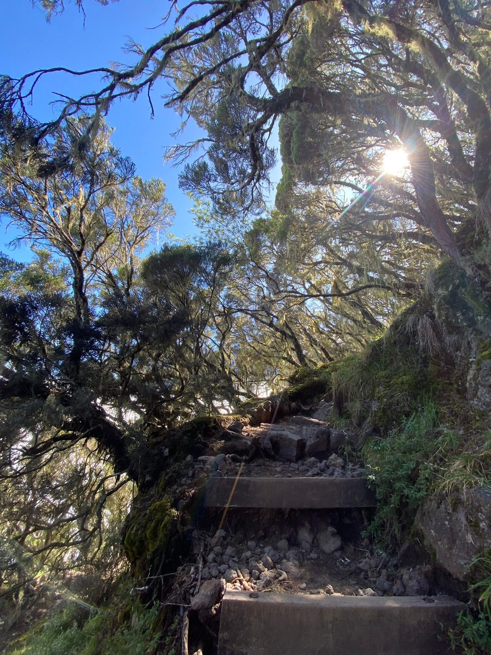 Réunion - Salazie - 