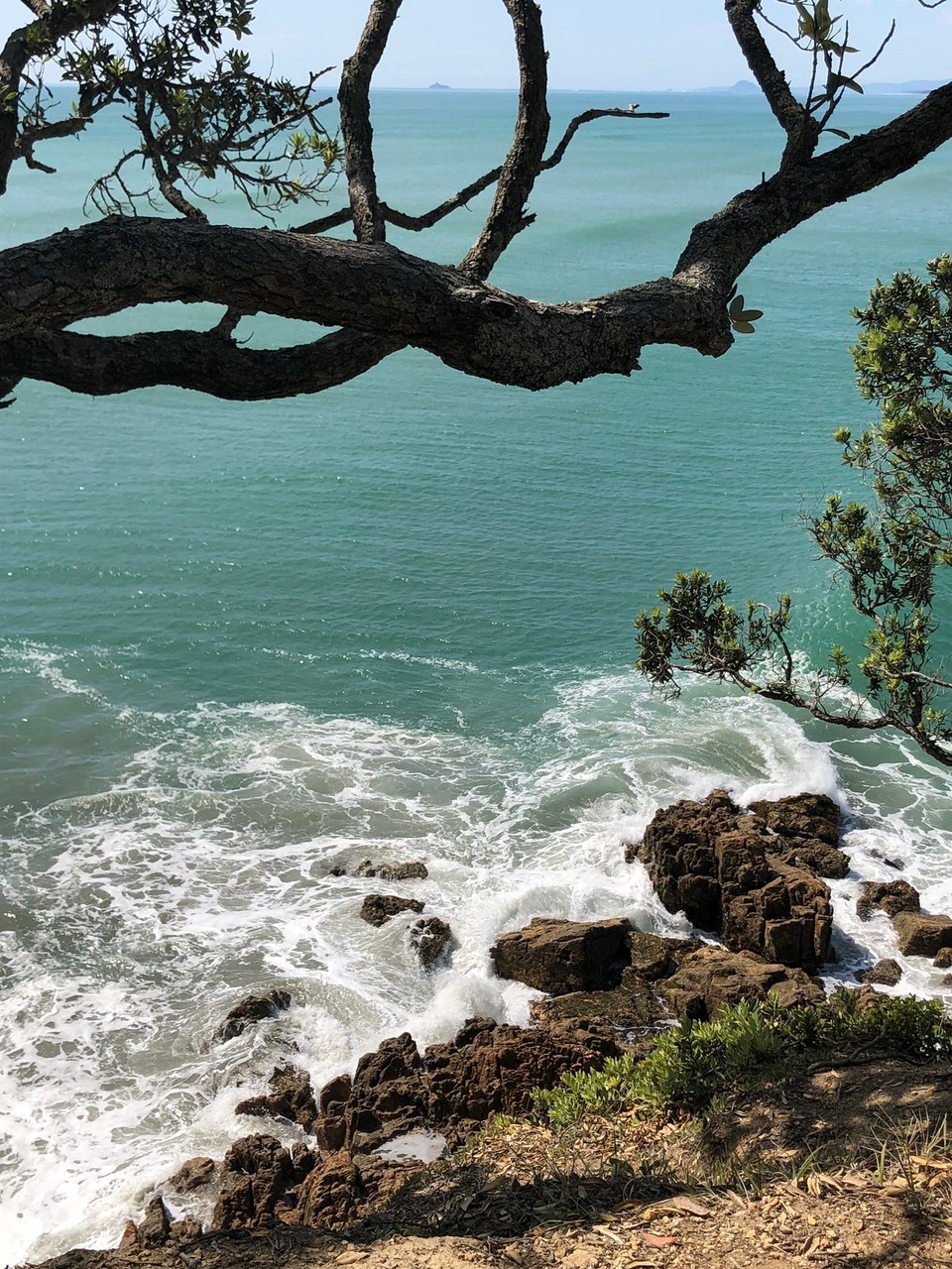 Neuseeland - Waihi Beach - 