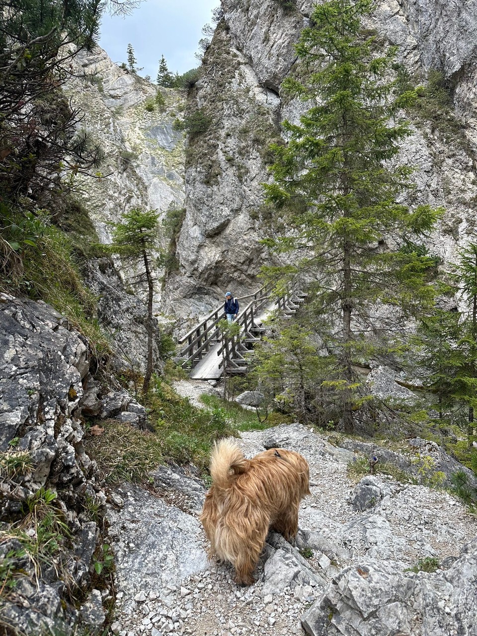 Österreich - Scharnitz - 