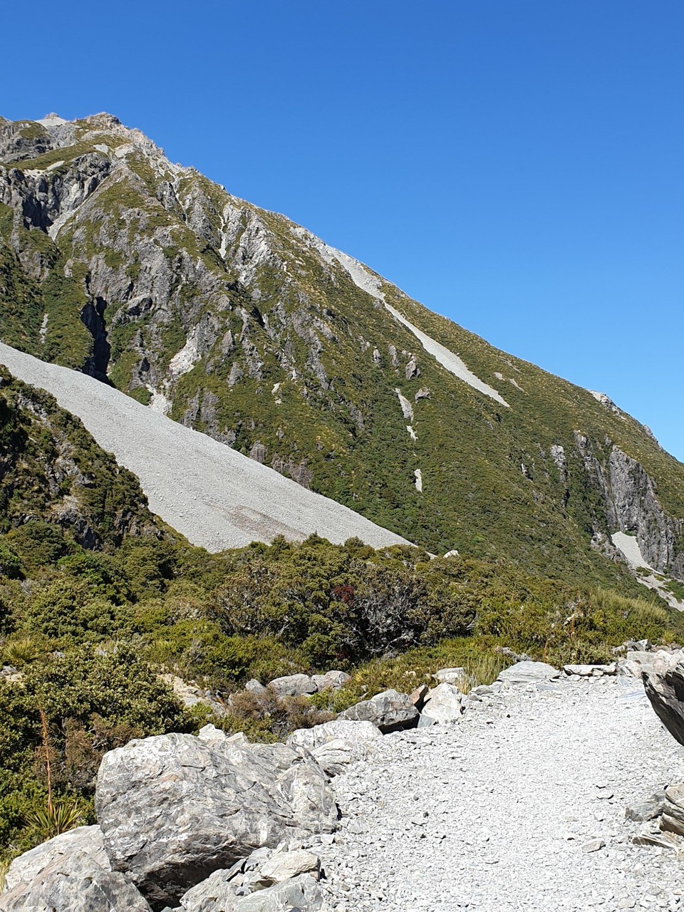 Neuseeland - Aoraki - 