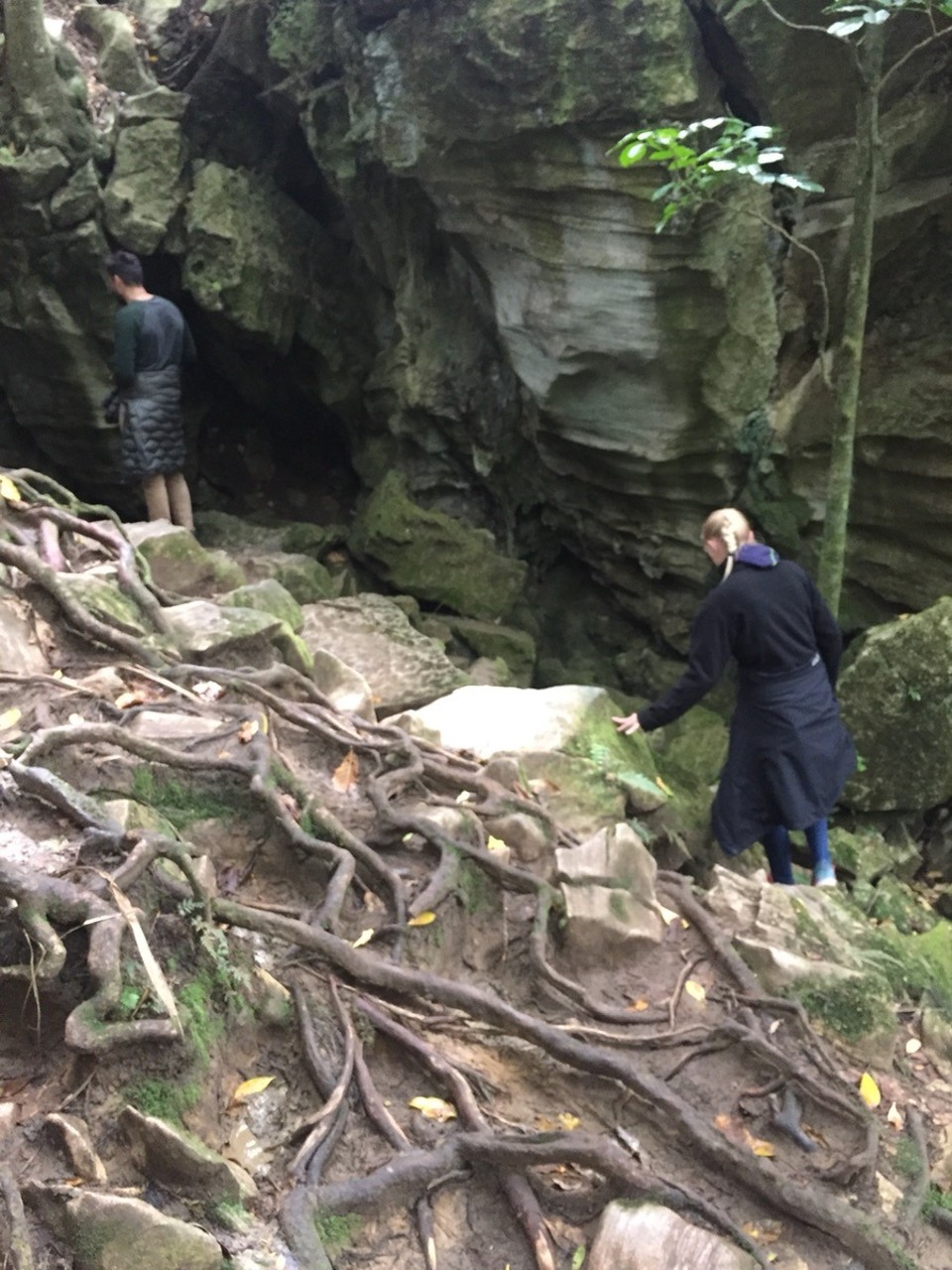  - Neuseeland, Whangarei, Abbey Caves - 