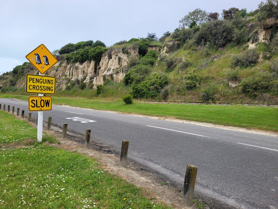 Neuseeland - Oamaru - 