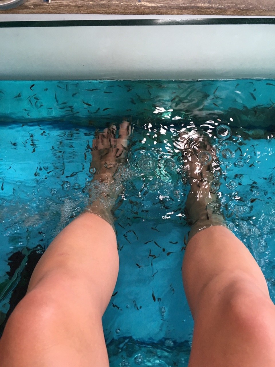 Indonesien - Gianyar - Bei mir waren definitiv weniger Fische als bei Paul😋