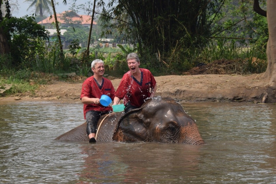 Thailand - Chiang Mai - Eigentlich wollten wir den Elefanten waschen