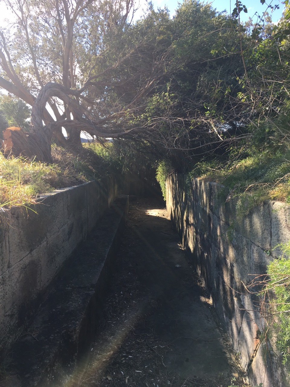 Ausztrália - Watsons Bay - 