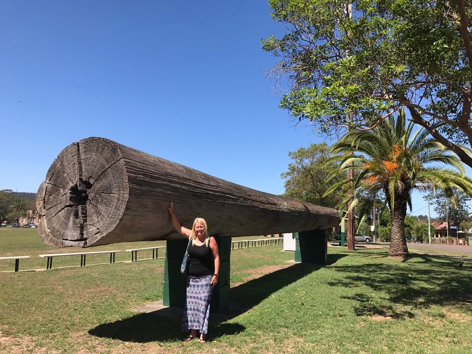  - Australia, Tuncurry, 21–43 Beach Street - Big log !!