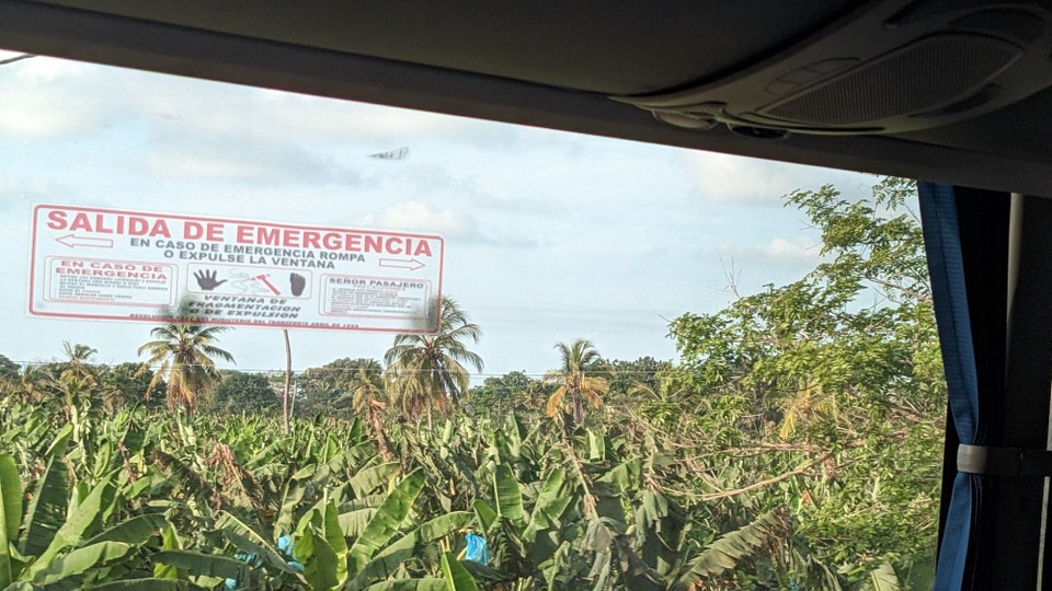 Kolumbien - Cartagena - Die Bananenplantagen machen mir immer gute Laune, weil wir in Costa Rica durch die Plantagen von Chiquita und del Monde durchgefahren sind und ich das so cool fand als wir sogar einen Carrero gesehen haben :p 