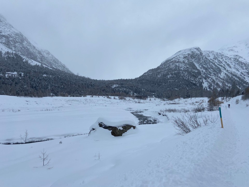 Schweiz - Pontresina - 