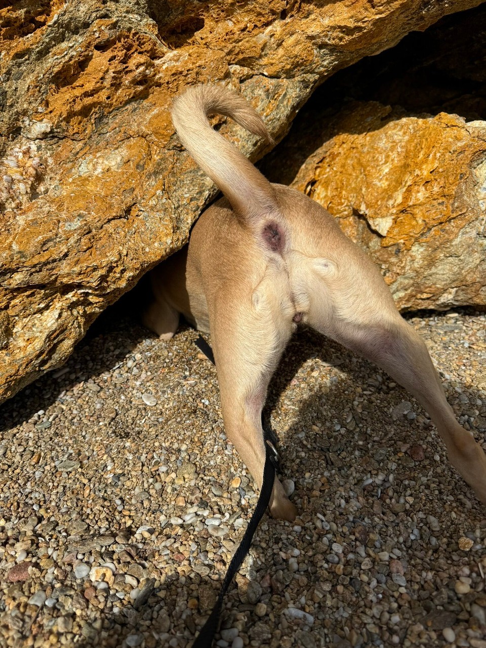 Italien - Porto Azzurro - Umgebungserkundung