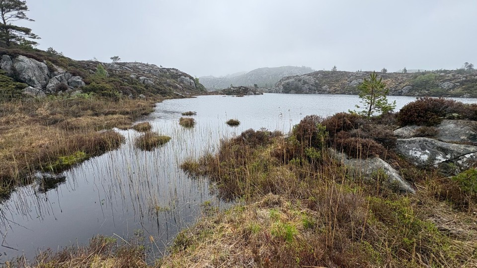 Norwegen - Svortland - 