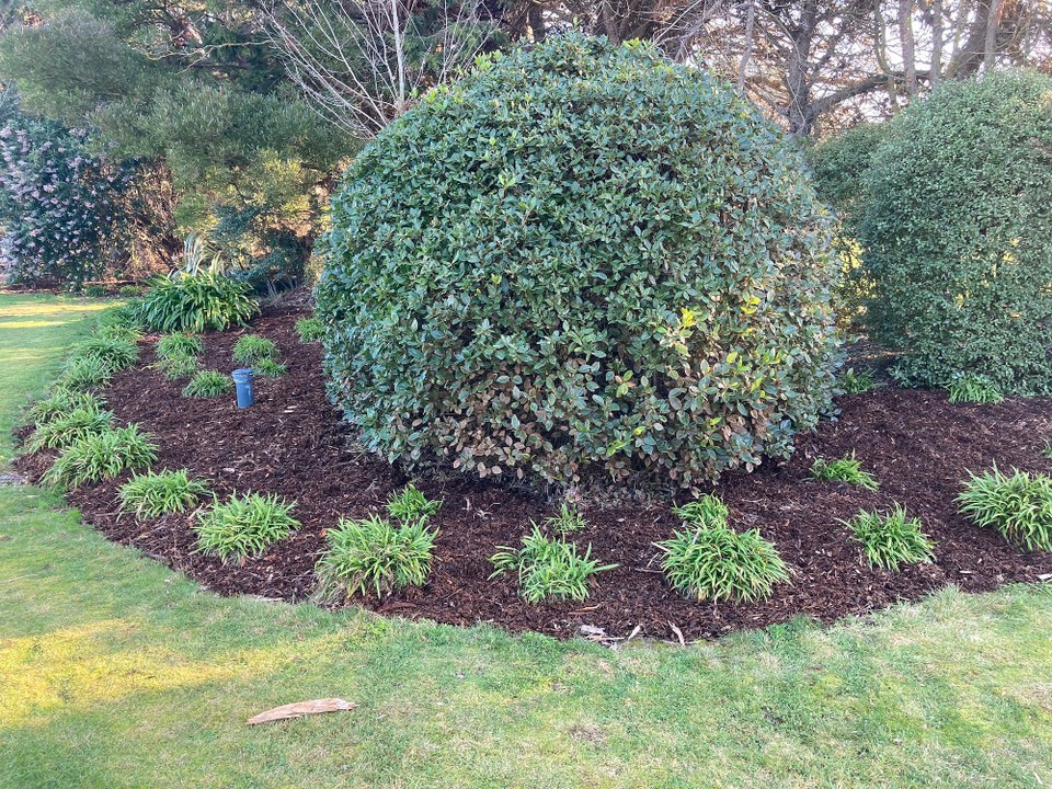 Neuseeland - Christchurch - Alles neu gemulcht 😎