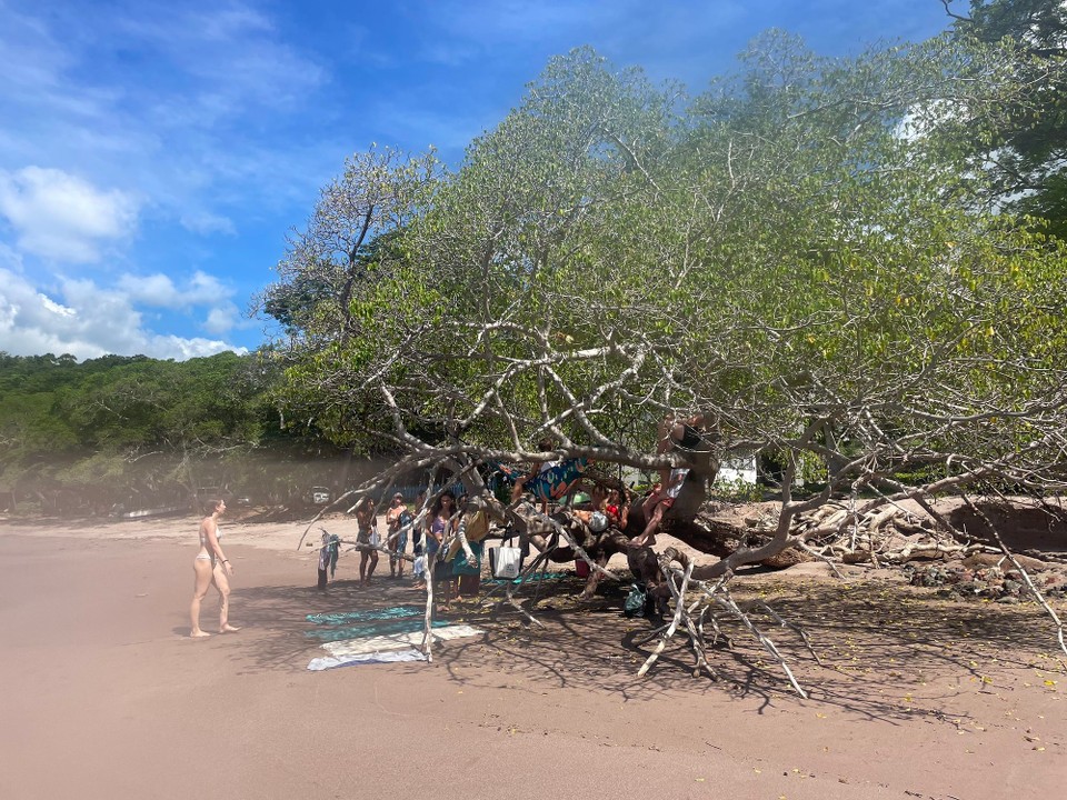 Costa Rica - Santa Cruz - Gegen Mittag sind wir zu einem gemeinsamen Ausflug aufgebrochen 🏝️ 