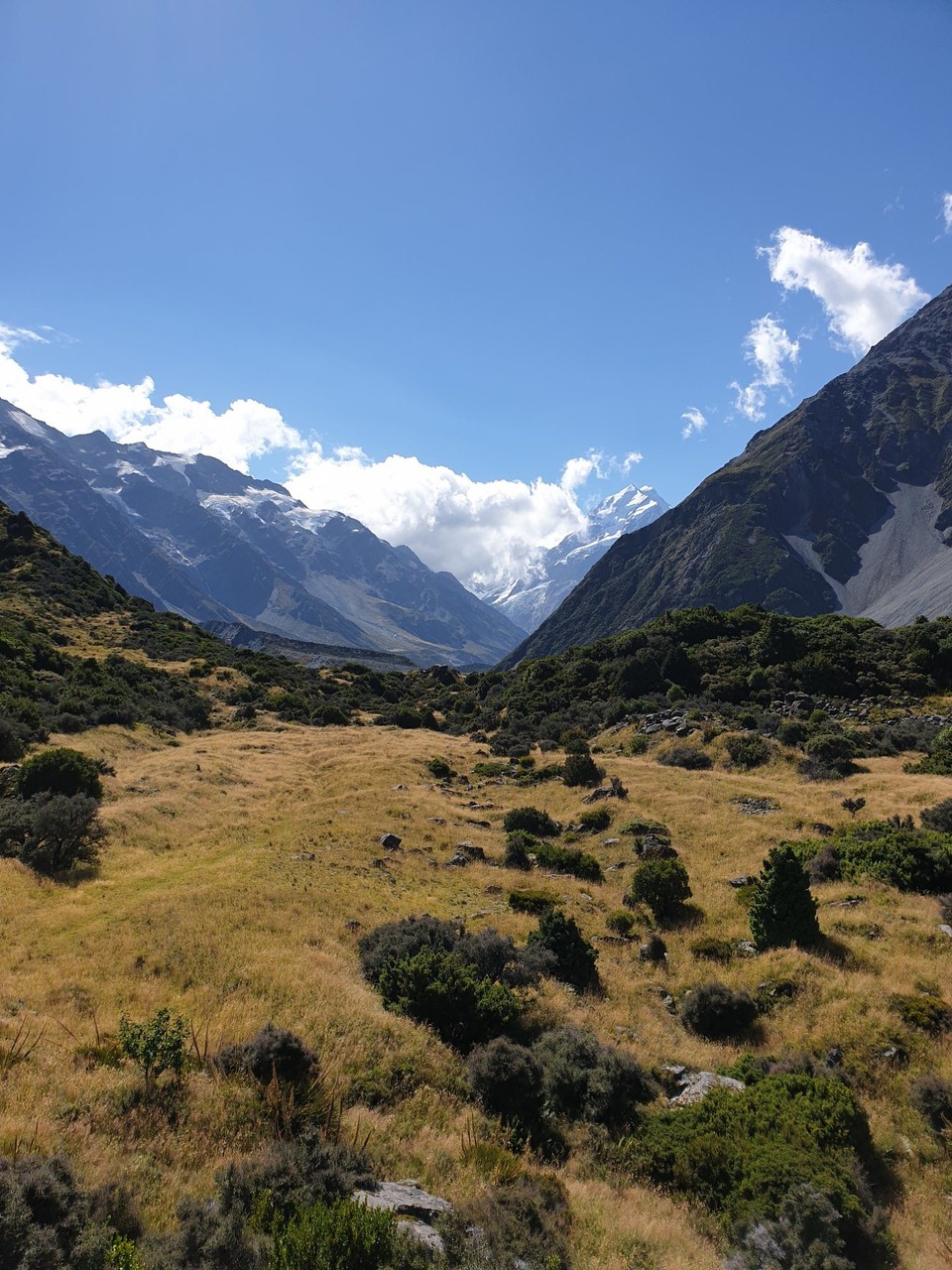 Neuseeland - Aoraki - 