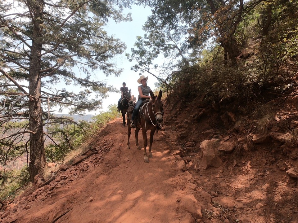 USA - North Rim - 