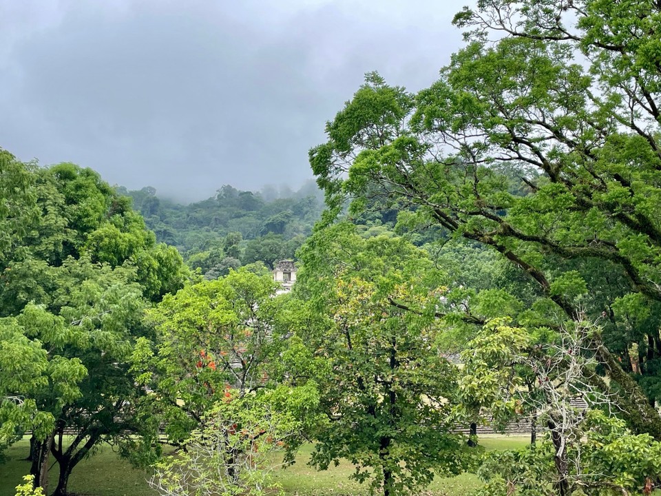 Mexiko - Palenque - 
