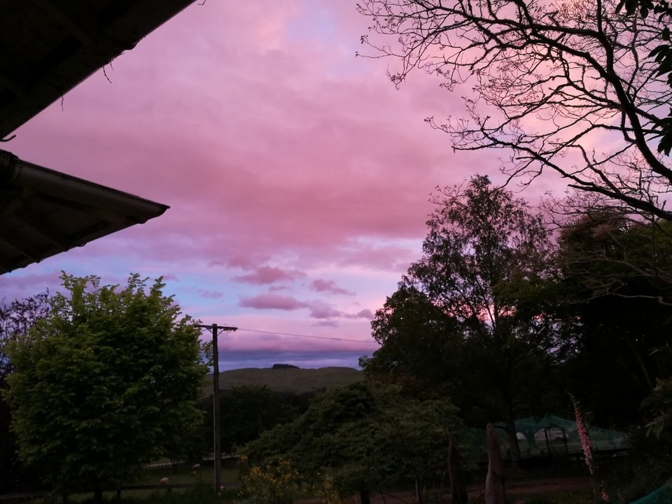 Neuseeland - Norsewood - Wunderschöne Sonnenuntergänge 