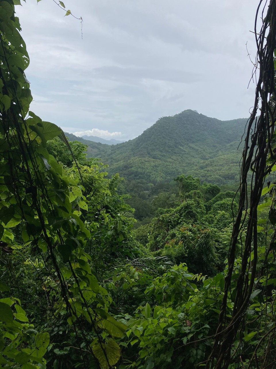 Laos - Luangprabang - 
