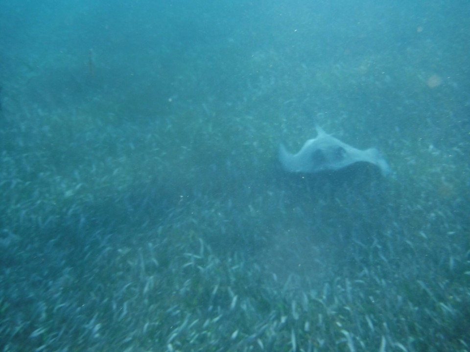 Belize -  - 