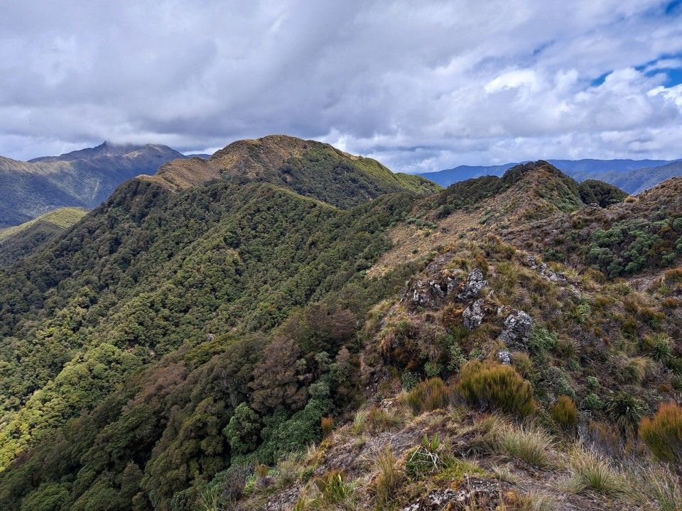 Neuseeland - Te Aroha trail PK - 
