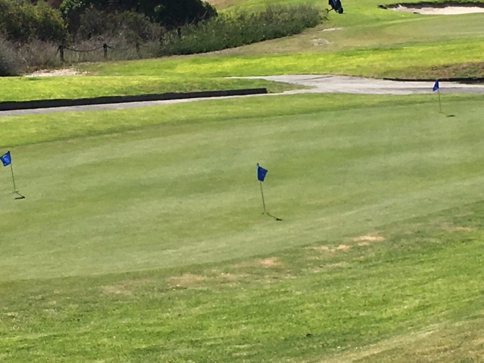Südafrika - Blouberg - Auf zum Golfplatz