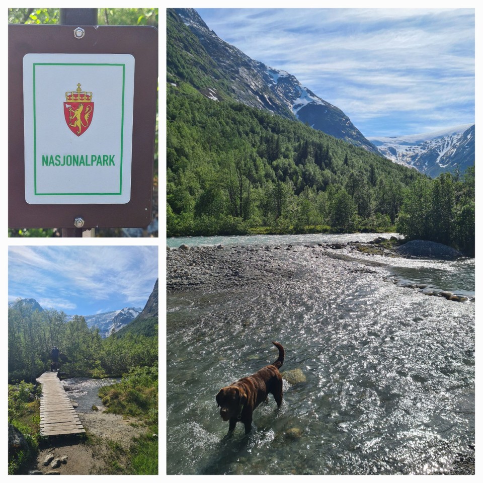 Norwegen - Jostedalsbreen - 