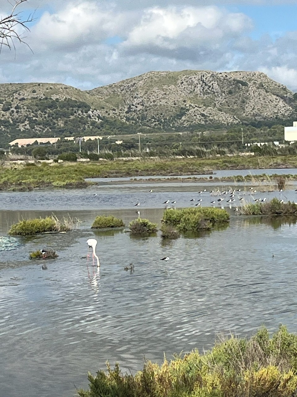 Spanien - Muro - Was uns zum Glück auch gelungen ist.
