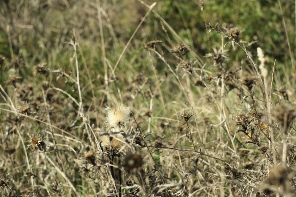 Portugal - Aljezur - 
