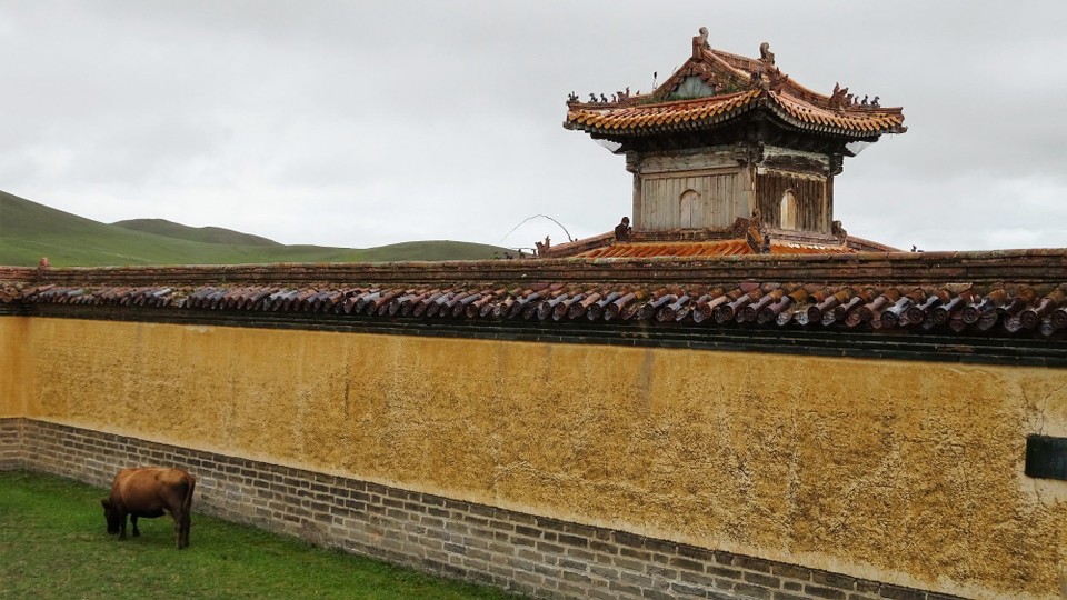 Mongolia - Erdenet - The lawnmowers