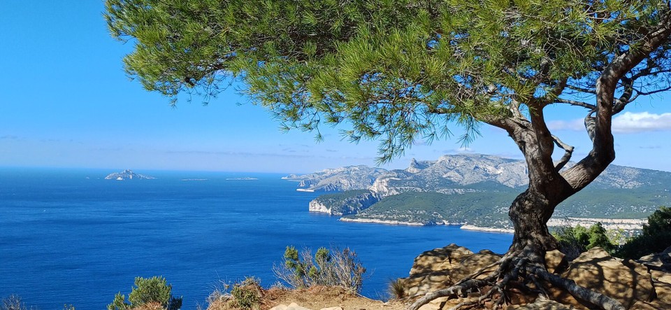 Frankreich - La Ciotat - 