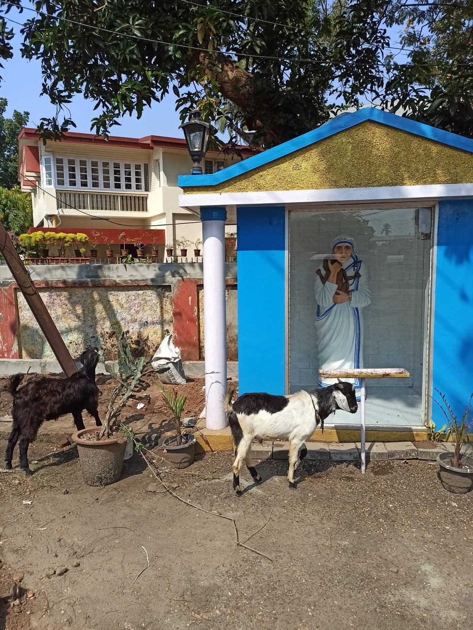 Indien - Kochi - 