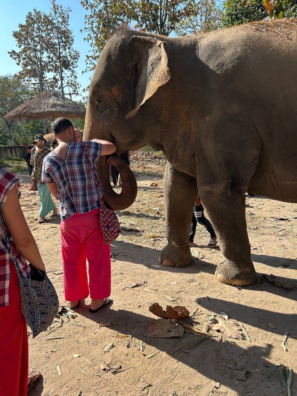 Thailand - Chiang Mai - 