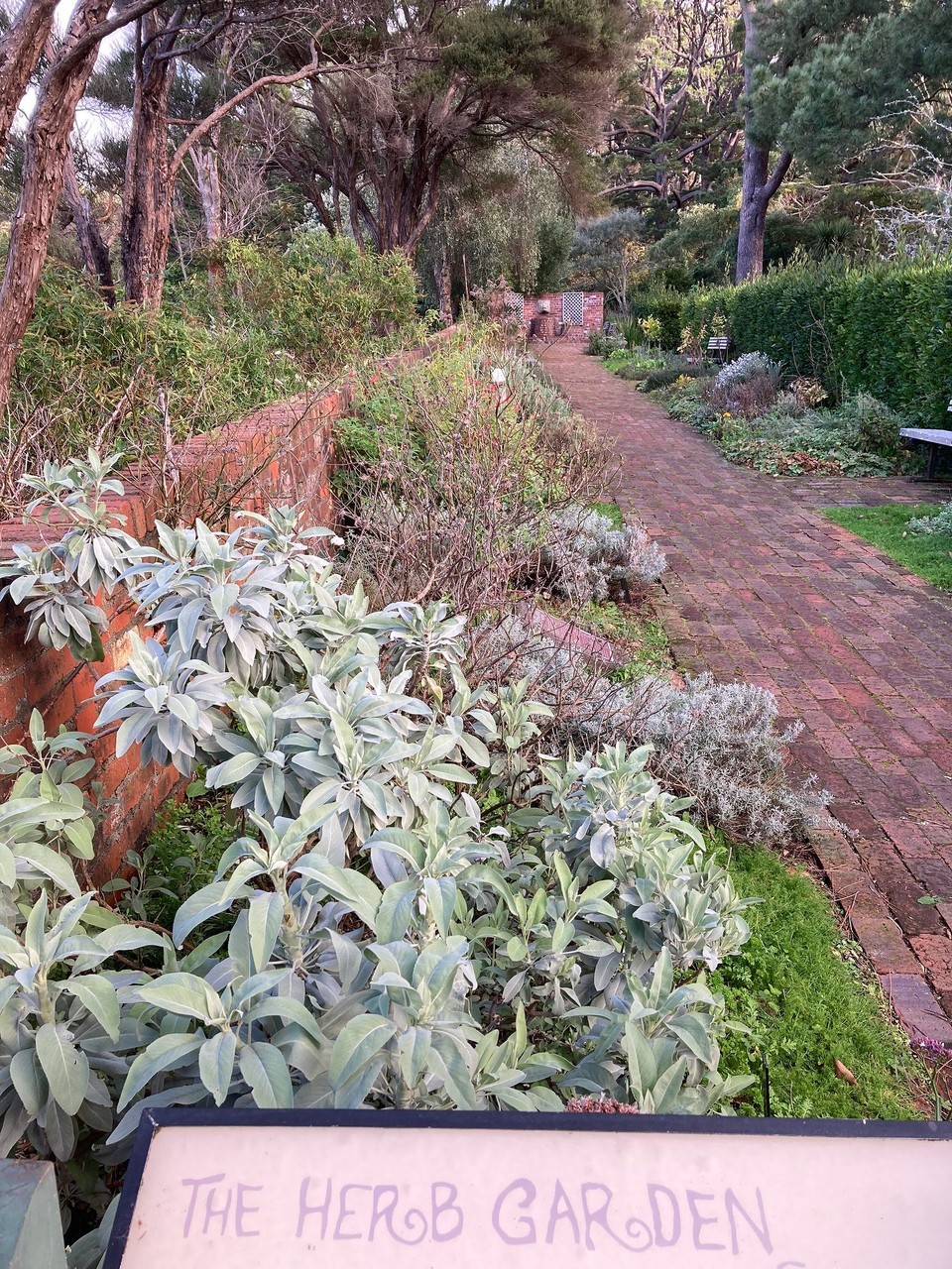 Neuseeland - Wellington - Kräutergarten