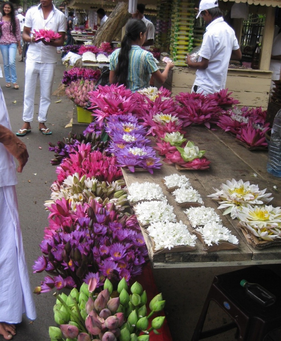 Sri Lanka - Kandy - 