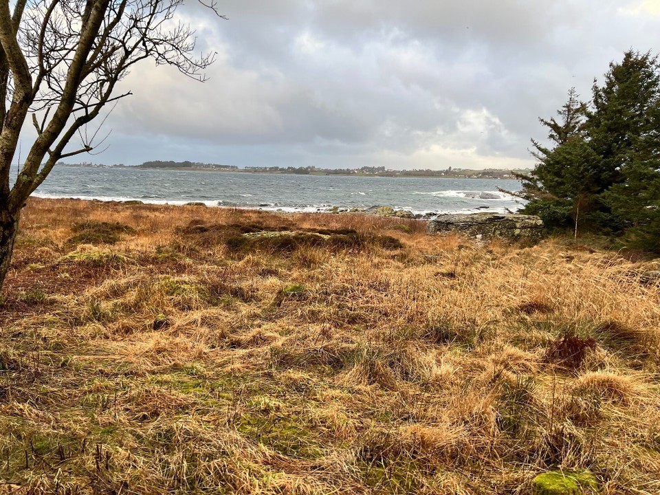 Norwegen - Hafrsfjord - 