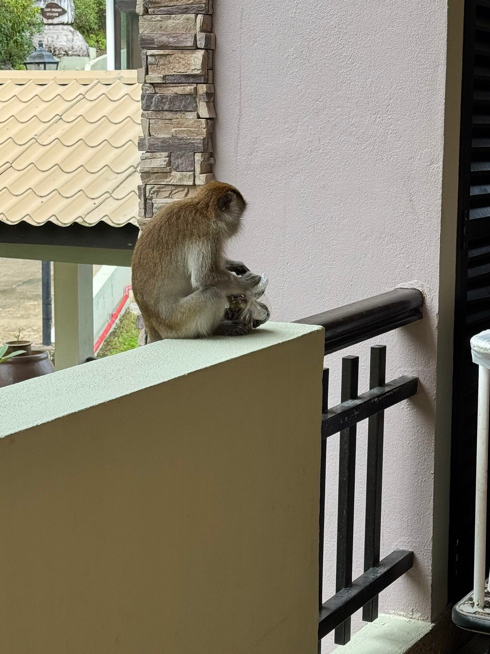 Malaysia - Kuala Terengganu - 