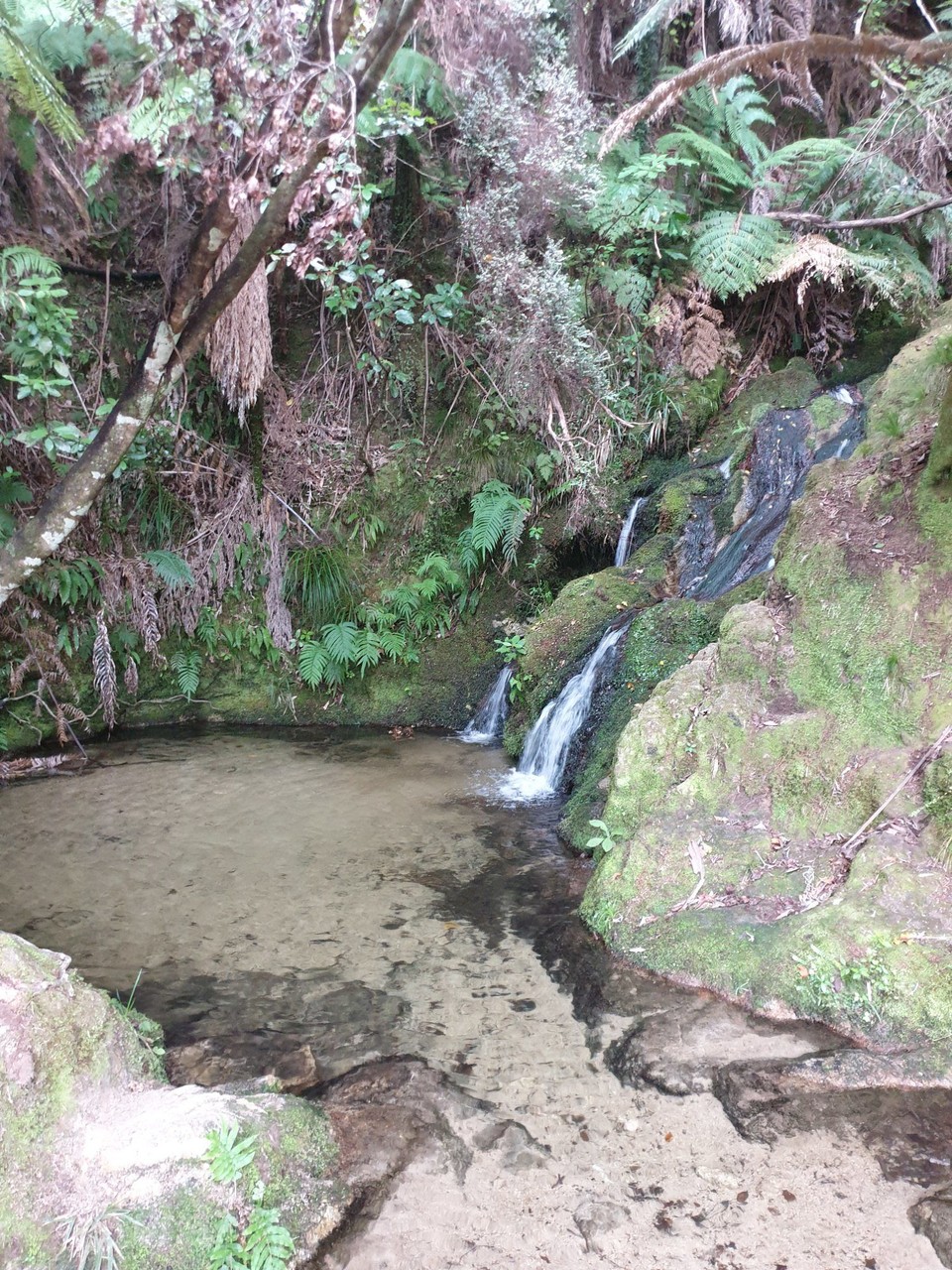 Neuseeland - Mapua - 