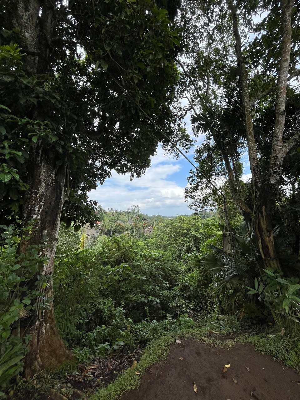 Indonesien - Gianyar - 