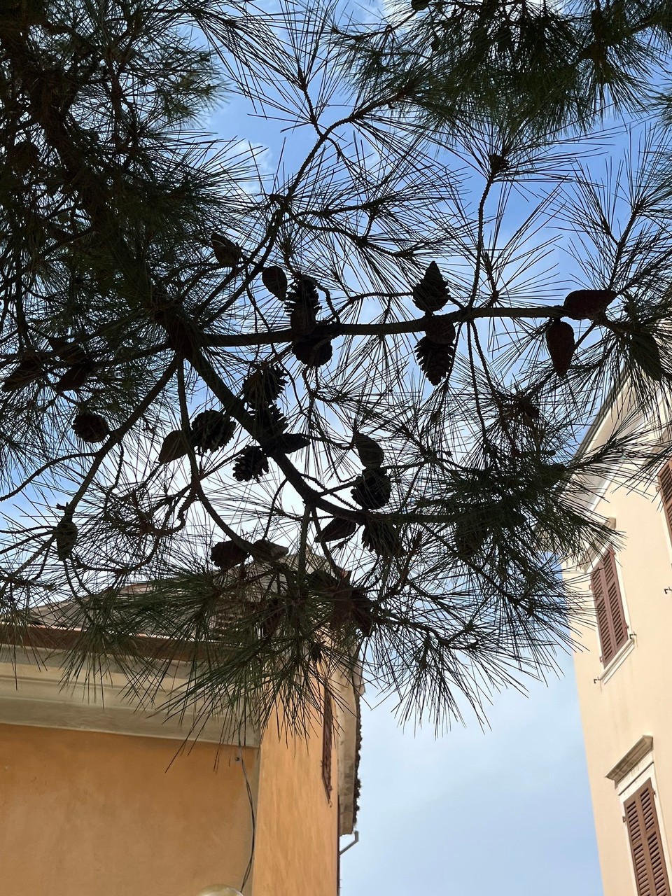 Kroatien - Poreč - 