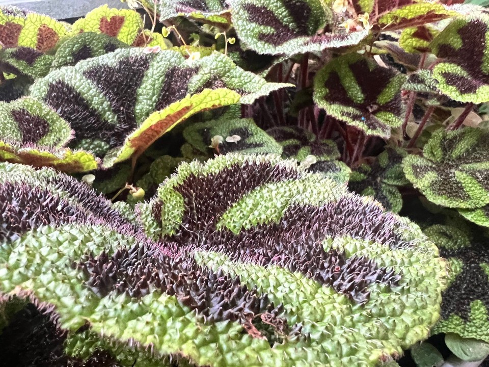 Dänemark - København K - 