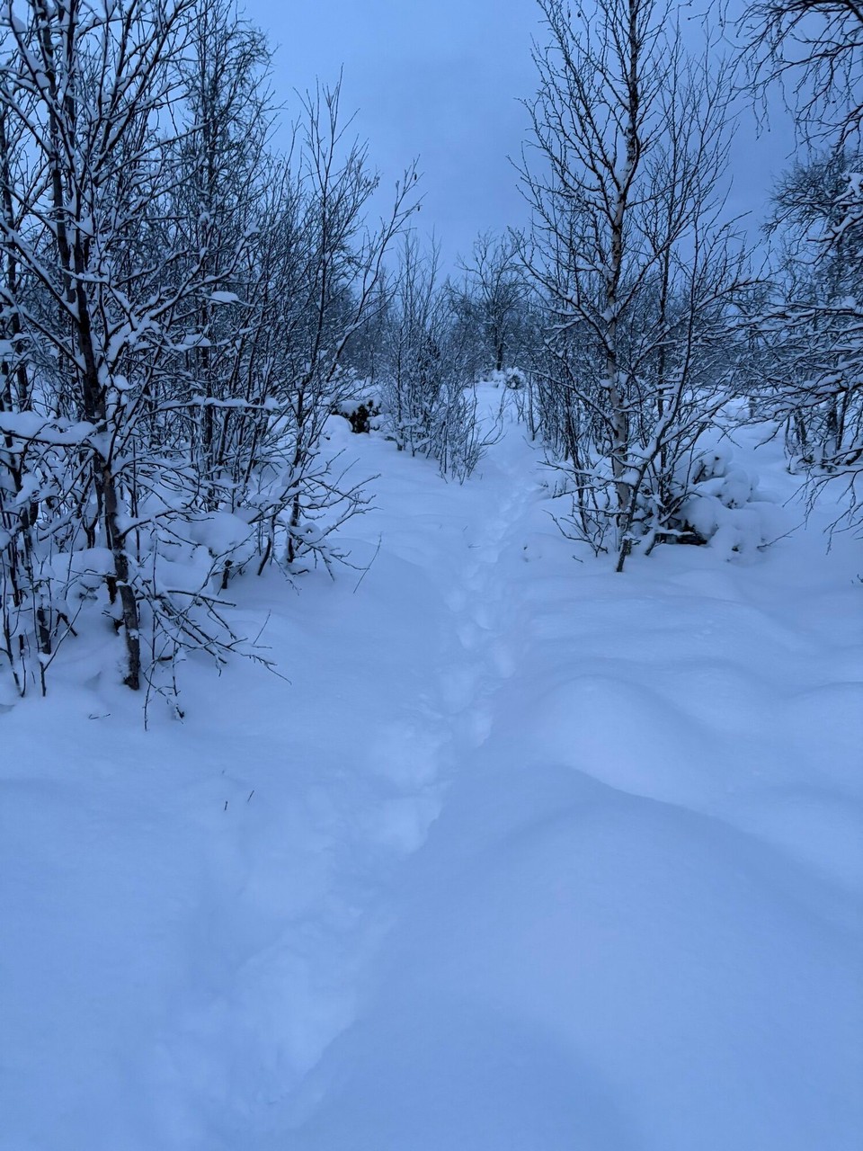 Schweden - Kiruna - …durch den tiefen Schnee 