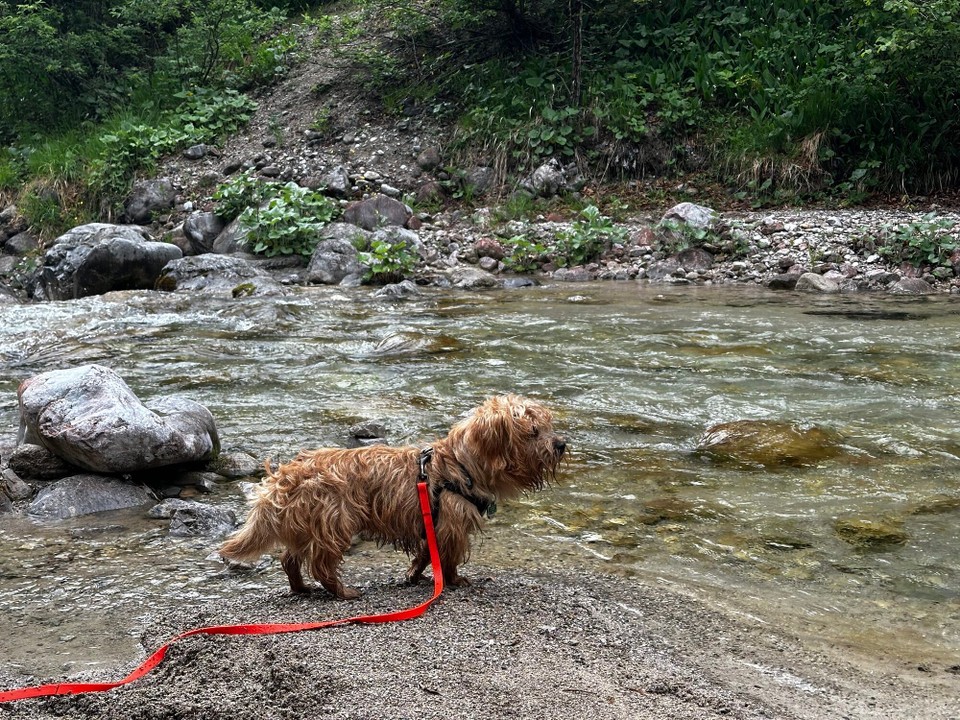 Österreich - Kufstein - Mehr Wasser für Lou