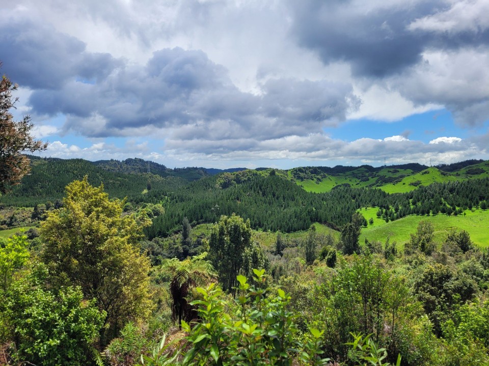 Neuseeland - Rotorua - 