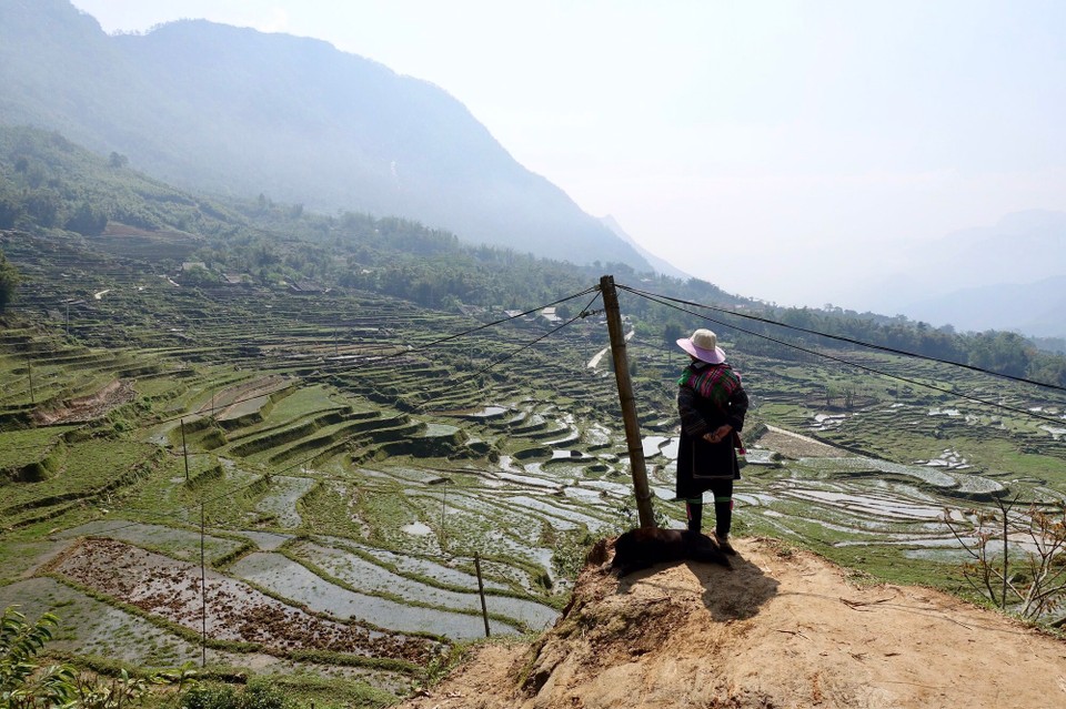 Vietnam - H. Sa Pa - Mama vu vi